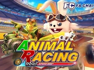 Animal Racing icon